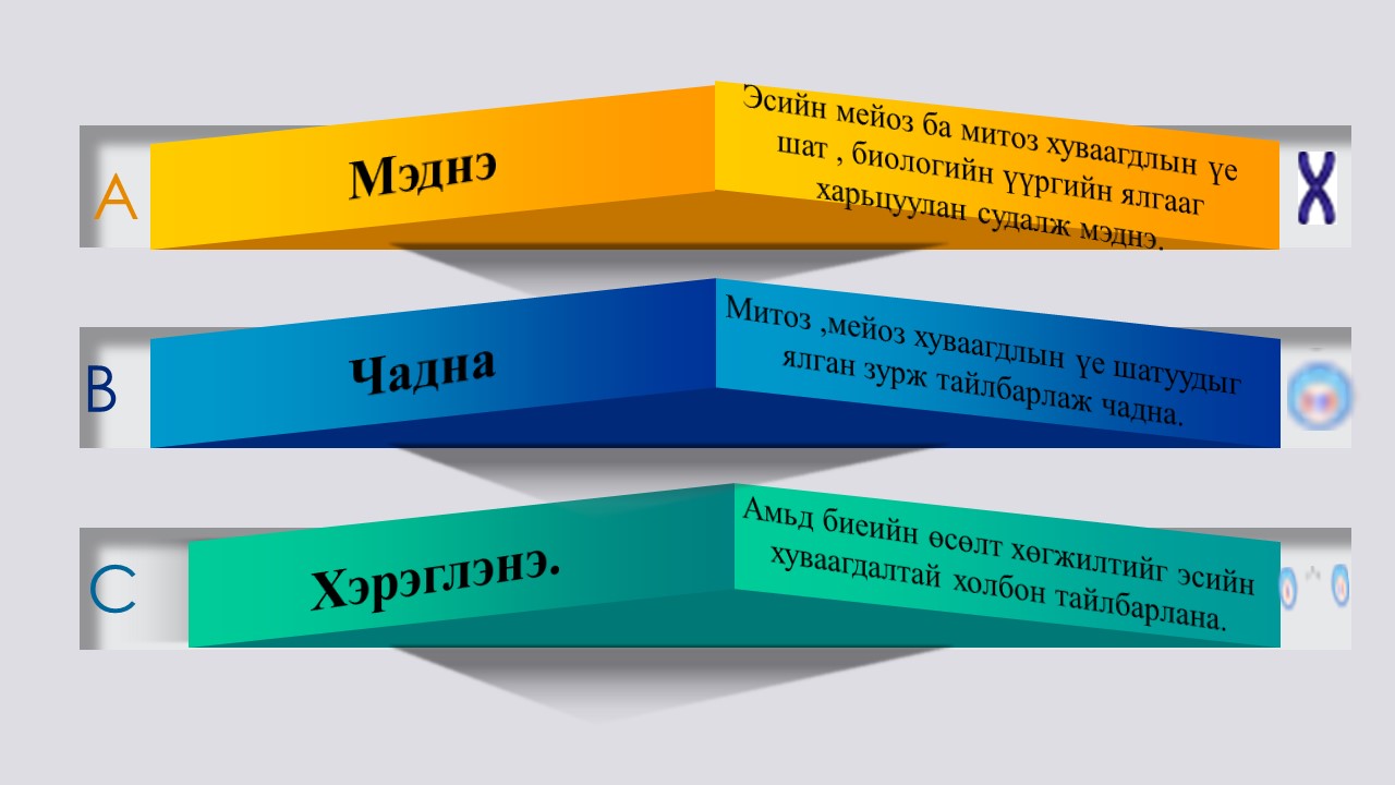 Мэдлээ | Цахим контент